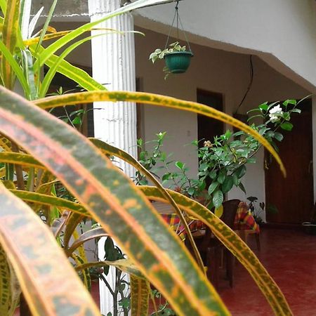 Winstar Homestay Сигирия Экстерьер фото