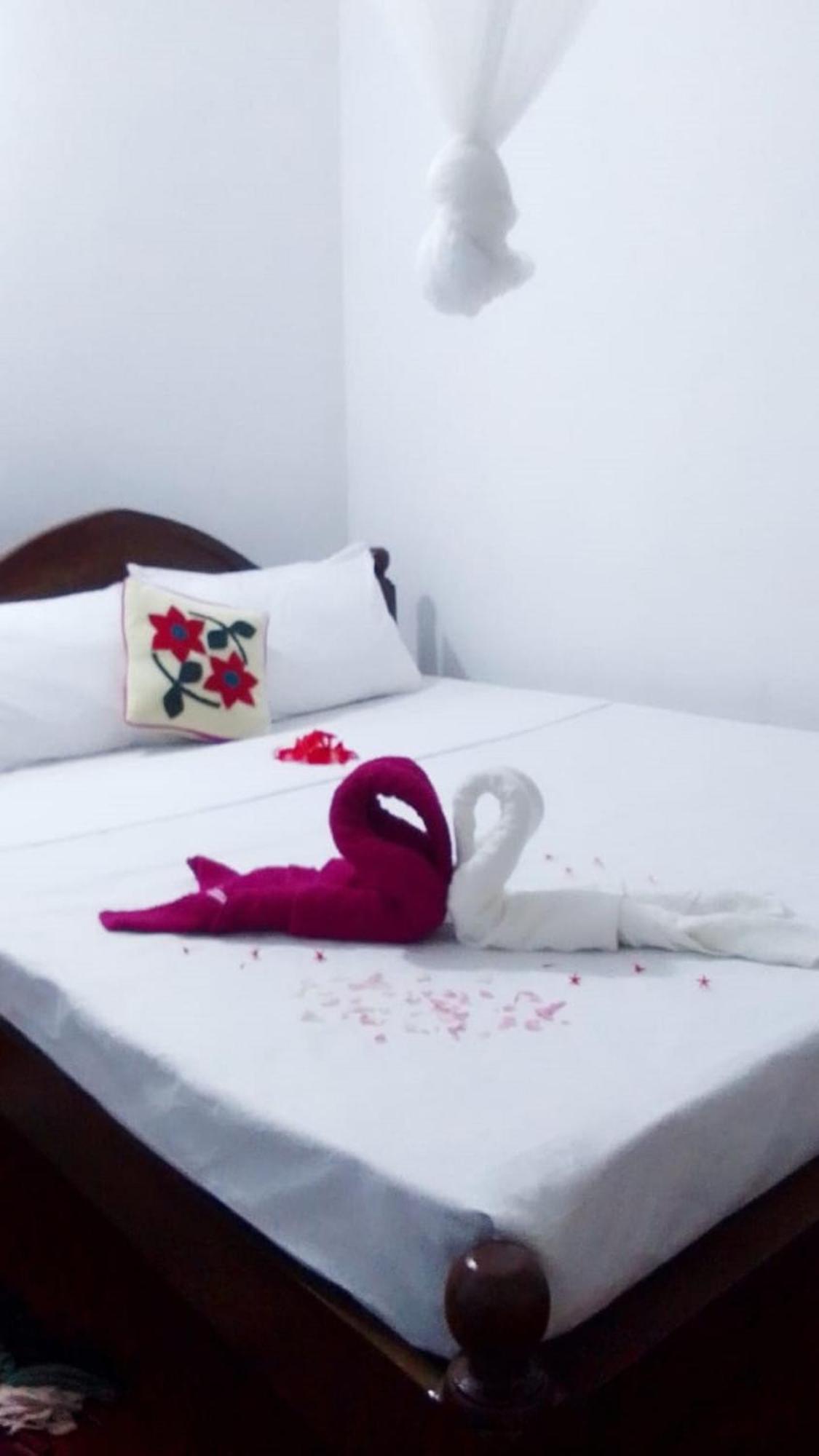 Winstar Homestay Сигирия Экстерьер фото